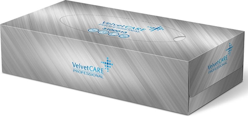 Chusteczki Higieniczne Karton Wyciągane 100 szt Velvet VLP-3100013