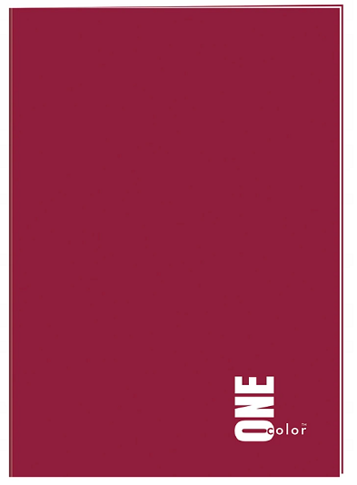 Zeszyt A4/ 96 kartki KRATKA One Color