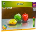Pastele Olejne Cricco 36 kolorów CR418K36