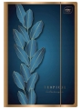 Teczka z Gumką A4+ Metallic Gold Interdruk