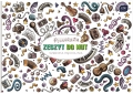 Zeszyt Do Nut Muzyki B5 16 Kartek 70g Linia Interdruk