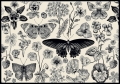 Puzzle 500 Flowers 3 Interdruk