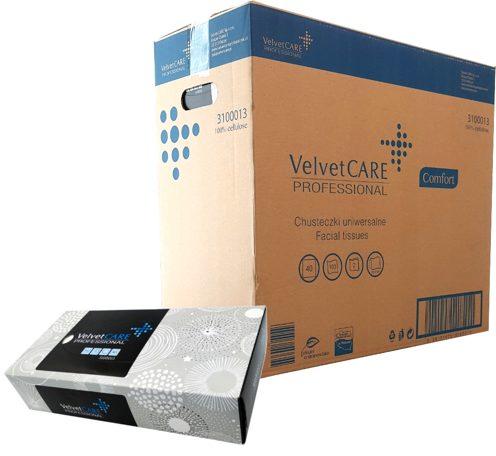40x Chusteczki Higieniczne Karton Wyciągane 100 szt Velvet VLP-3100013 KARTON