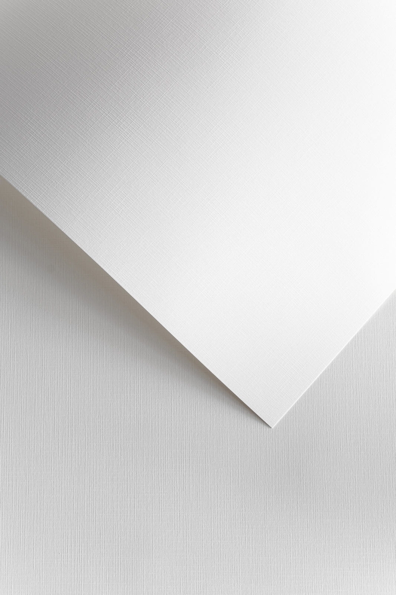 Papier Ozdobny Płótno /50szt/ Galeria Papieru 120G 206101 BIAŁY