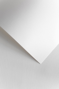 Papier Ozdobny Płótno /50szt/ Galeria Papieru 120G 206101 BIAŁY