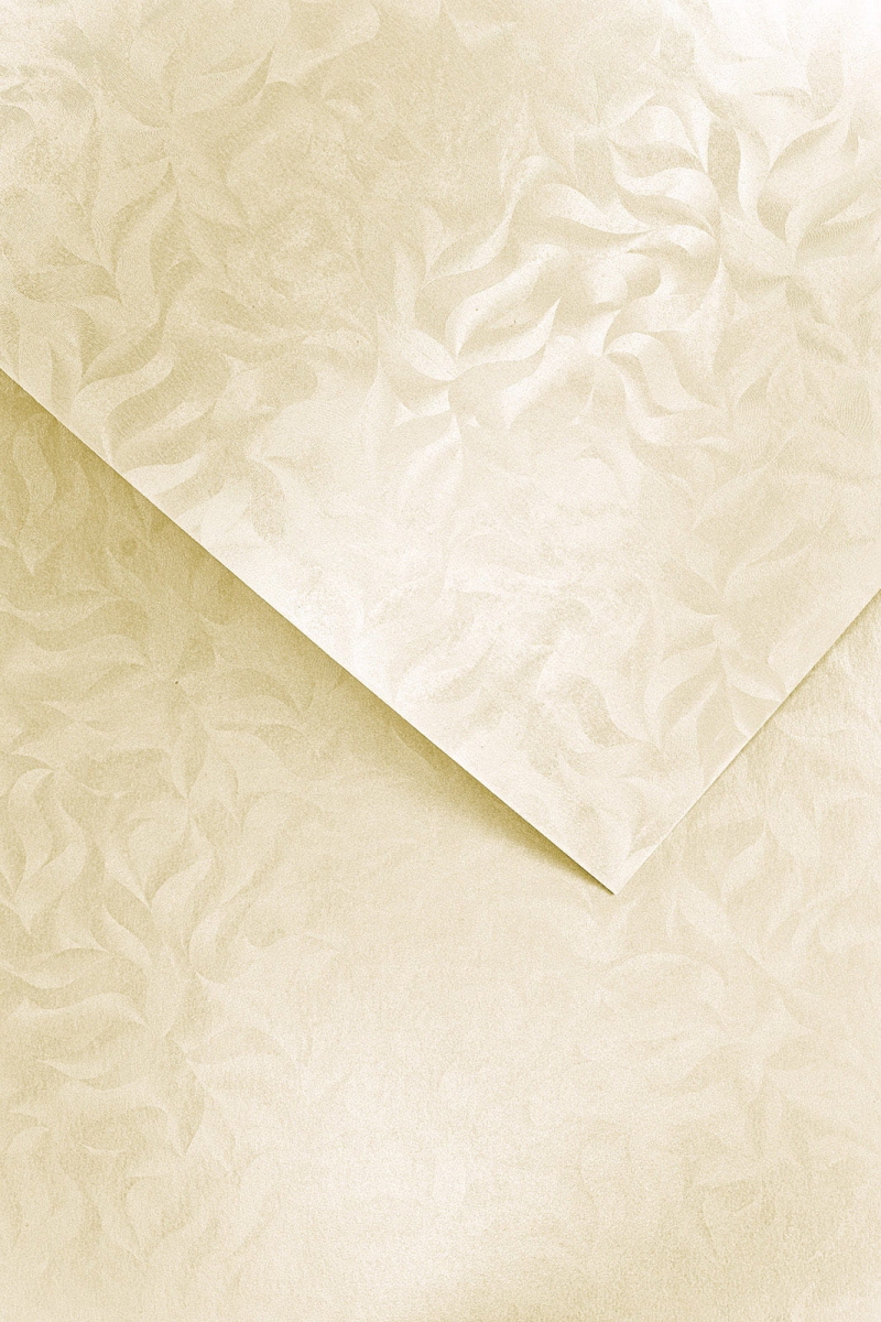Papier Ozdobny Olympia /20szt/ Galeria Papieru 220g 203422 KREMOWY