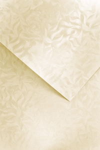 Papier Ozdobny Olympia /20szt/ Galeria Papieru 220g 203422 KREMOWY