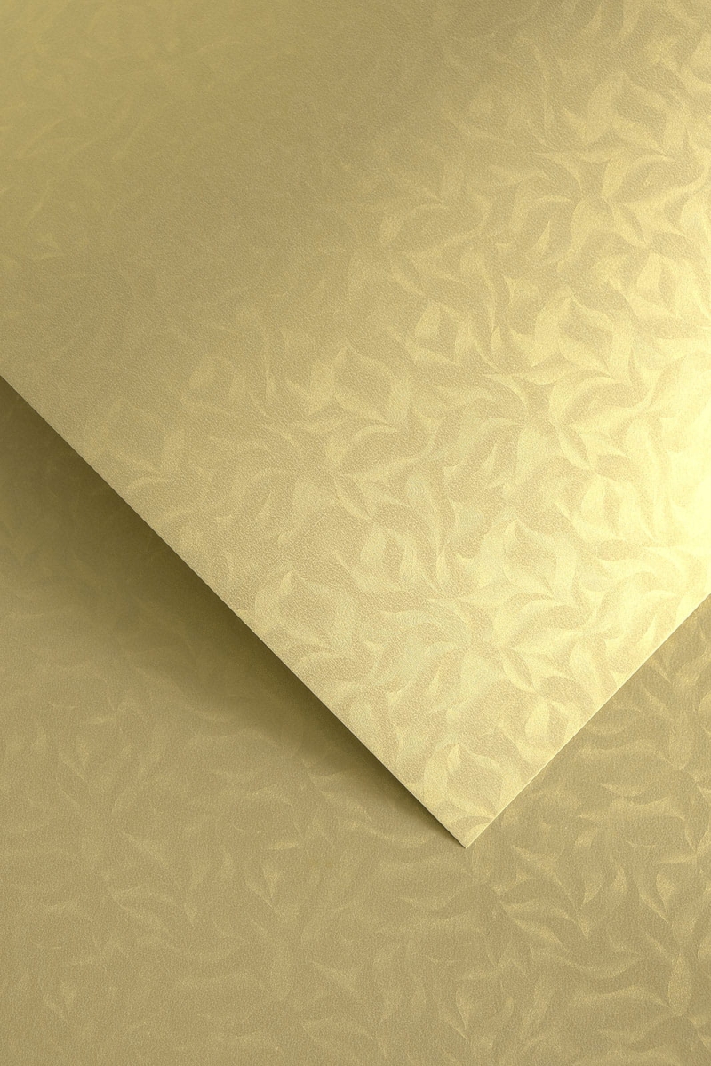 Papier Ozdobny Olympia 20 sztuk 220g Złoty