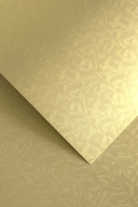 Papier Ozdobny Olympia 20 sztuk 220g Złoty