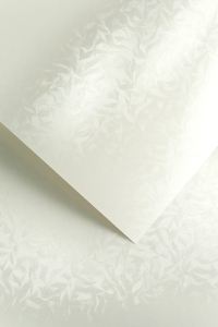 Papier Ozdobny Olympia 20 sztuk 220g Perłowa Biel