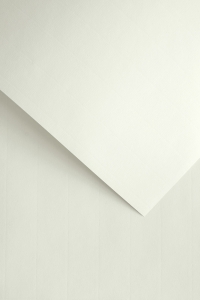 Papier Ozdobny Laid /50szt/ Galeria Papieru 120g 206001 BIAŁY