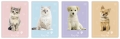 Zeszyt A5/16 # Interdruk UV Kolor Puppy Sign ZE16#PS