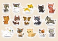 Puzzle Kids 250 Elementów Koty Cats Interdruk