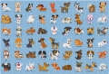 Puzzle Kids 250 Elementów Dogs Interdruk