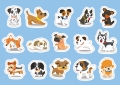 Puzzle Kids 250 Elementów Dogs Interdruk