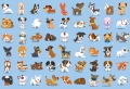Puzzle Kids 250 Elementów Dogs Interdruk