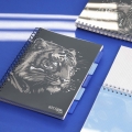 Kołonotatnik Strigo Pads Animals Tygrys A4 Kratka 100k