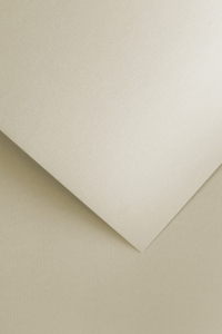 Papier Ozdobny Floryda Beżowy 20 Arkuszy 220g 200306 Galeria Papieru