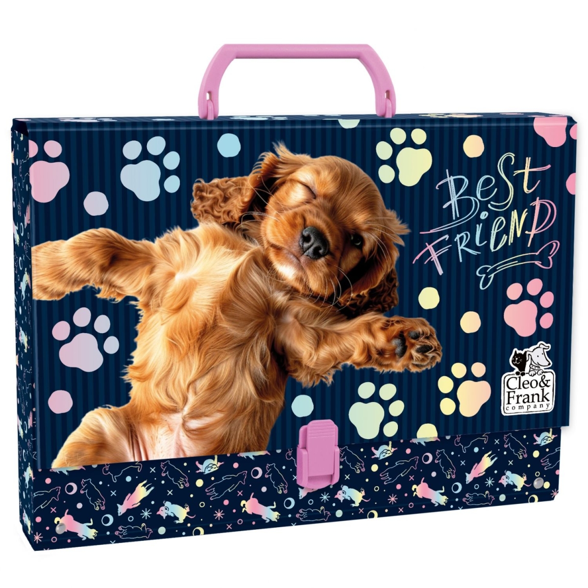 Teczka Na Prace Plastyczne A4 Twarda Z Rączką Cleo i Frank 44 (Pies) Kidea