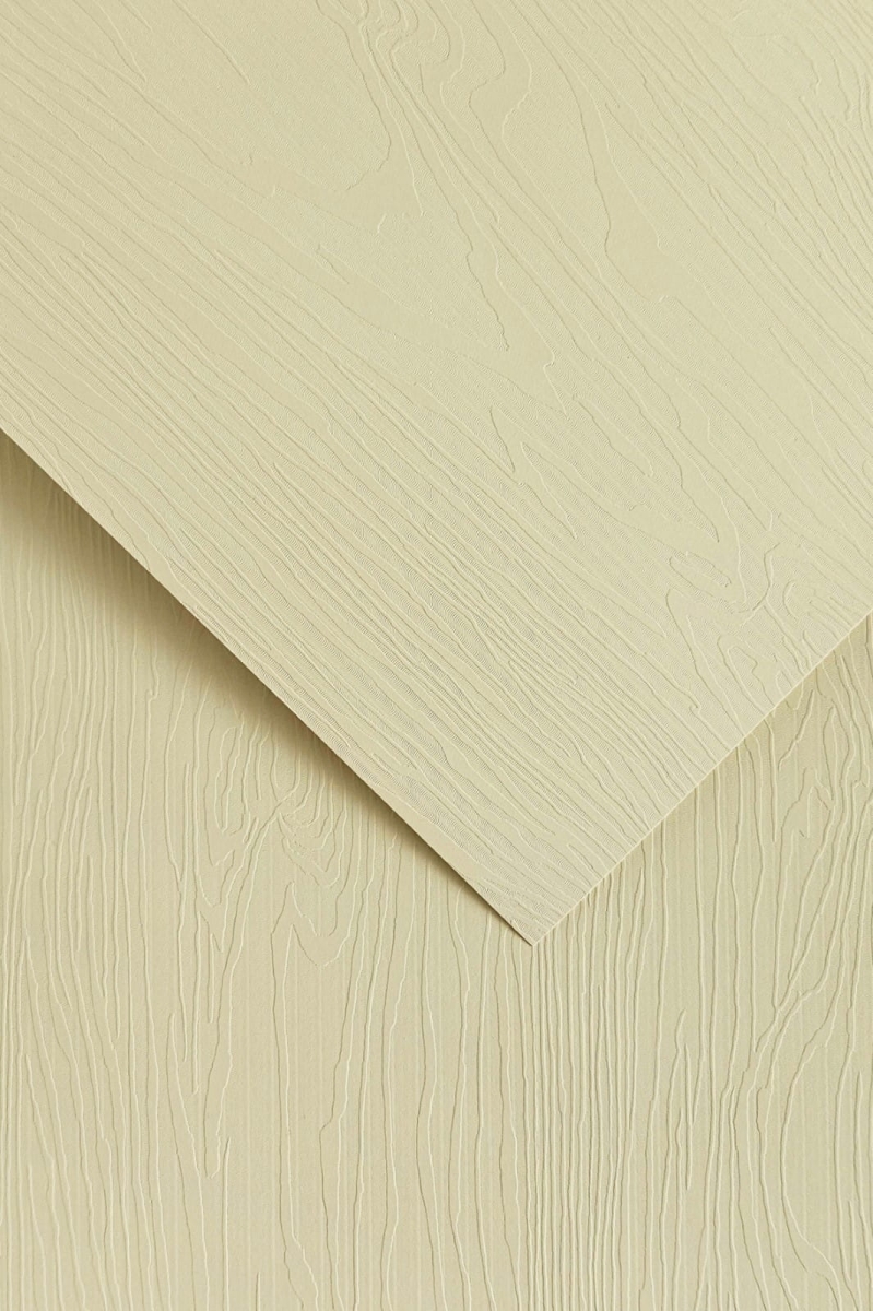 Papier Ozdobny Oak Kremowy 20 Arkuszy 230g 205902 Galeria Papieru