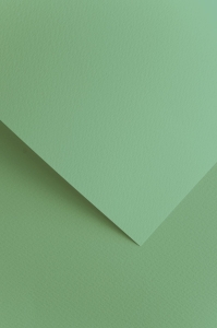 Papier Ozdobny Sawanna Szałwiowy 20 Arkuszy 220g 204816 Galeria Papieru