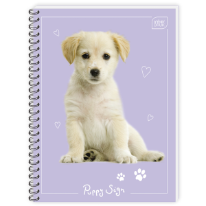 Kołonotatnik A6/80 Kratka Interdruk Miękka Oprawa Różne Wzory