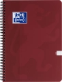 Kołozeszyt B5/100 Kratka Oxford Touch Trend Scribzee Różne Kolory 1 Sztuka