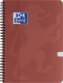 Kołozeszyt B5/100 Kratka Oxford Touch Trend Scribzee Różne Kolory 1 Sztuka