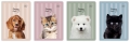 Zeszyt A5/16 # Interdruk UV Kolor Puppy Sign ZE16#PS