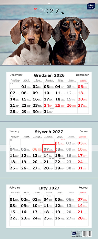 Kalendarz Ścienny 2027 Trójdzielny 82,5x34 cm "Psy" Interdruk